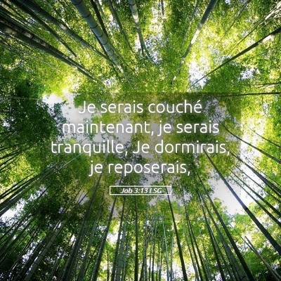 Picture 05 - Job 3:13 LSG - Je serais couché maintenant, je serais - Bible Verse Picture