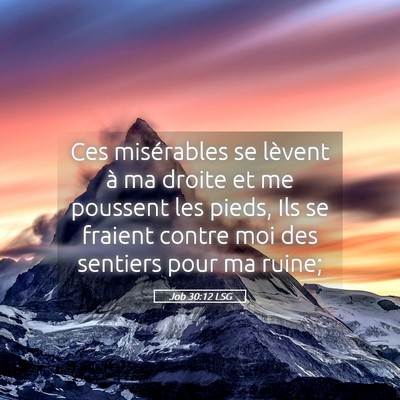 Picture 05 - Job 30:12 LSG - Ces misérables se lèvent à ma droite et me - Bible Verse Picture