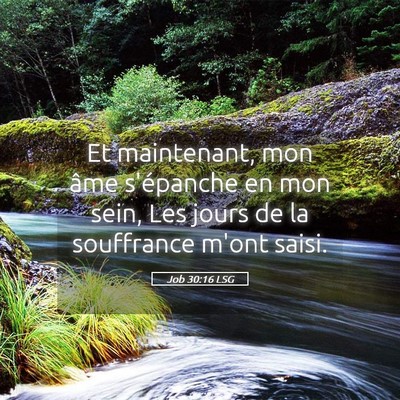 Picture 05 - Job 30:16 LSG - Et maintenant, mon âme s'épanche en mon sein, - Bible Verse Picture