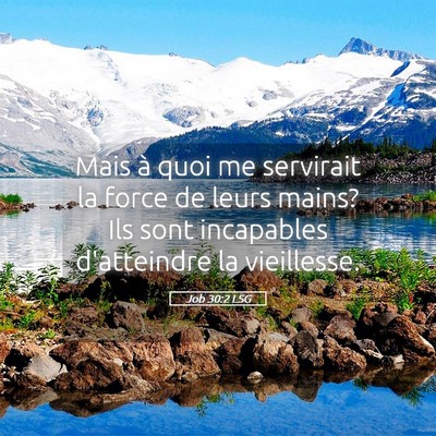 Picture 05 - Job 30:2 LSG - Mais à quoi me servirait la force de leurs - Bible Verse Picture