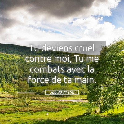 Picture 05 - Job 30:21 LSG - Tu deviens cruel contre moi, Tu me combats avec - Bible Verse Picture