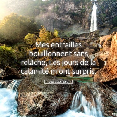 Picture 05 - Job 30:27 LSG - Mes entrailles bouillonnent sans relâche, Les - Bible Verse Picture
