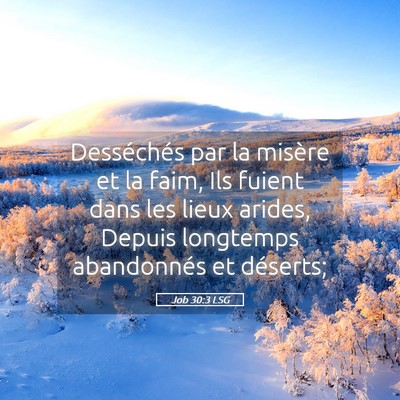 Picture 05 - Job 30:3 LSG - Desséchés par la misère et la faim, Ils fuient - Bible Verse Picture