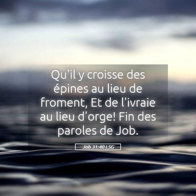 Picture 05 - Job 31:40 LSG - Qu'il y croisse des épines au lieu de froment, - Bible Verse Picture