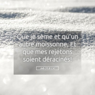 Picture 05 - Job 31:8 LSG - Que je sème et qu'un autre moissonne, Et que mes - Bible Verse Picture