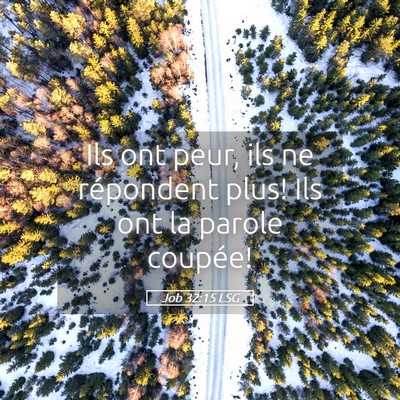 Picture 05 - Job 32:15 LSG - Ils ont peur, ils ne répondent plus! Ils ont la - Bible Verse Picture