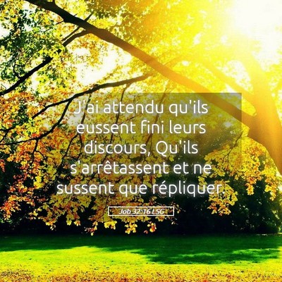 Picture 05 - Job 32:16 LSG - J'ai attendu qu'ils eussent fini leurs discours, - Bible Verse Picture