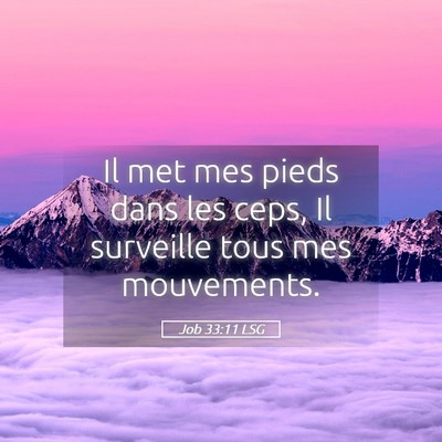 Picture 05 - Job 33:11 LSG - Il met mes pieds dans les ceps, Il surveille tous - Bible Verse Picture