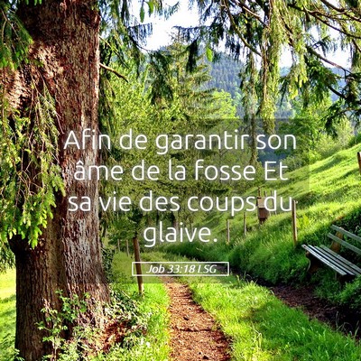 Picture 05 - Job 33:18 LSG - Afin de garantir son âme de la fosse Et sa vie - Bible Verse Picture