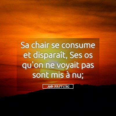 Picture 05 - Job 33:21 LSG - Sa chair se consume et disparaît, Ses os qu'on - Bible Verse Picture
