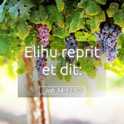 Picture 05 - Job 34:1 LSG - Elihu reprit et - Bible Verse Picture