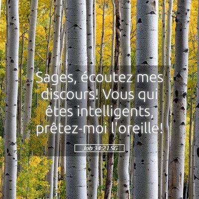 Picture 05 - Job 34:2 LSG - Sages, écoutez mes discours! Vous qui êtes - Bible Verse Picture