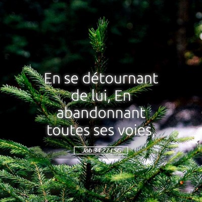 Picture 05 - Job 34:27 LSG - En se détournant de lui, En abandonnant toutes - Bible Verse Picture