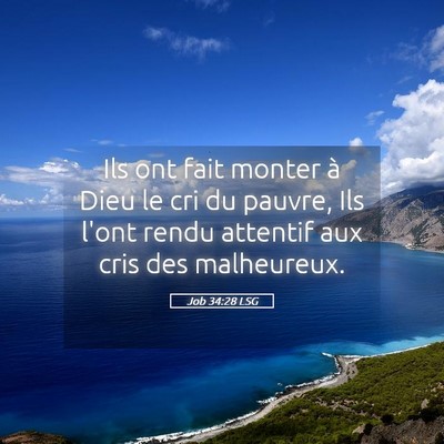 Picture 05 - Job 34:28 LSG - Ils ont fait monter à Dieu le cri du pauvre, Ils - Bible Verse Picture