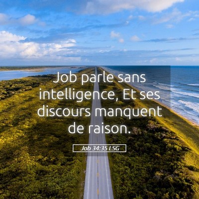 Picture 05 - Job 34:35 LSG - Job parle sans intelligence, Et ses discours - Bible Verse Picture