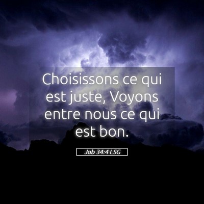 Picture 05 - Job 34:4 LSG - Choisissons ce qui est juste, Voyons entre nous - Bible Verse Picture