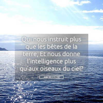 Picture 05 - Job 35:11 LSG - Qui nous instruit plus que les bêtes de la - Bible Verse Picture