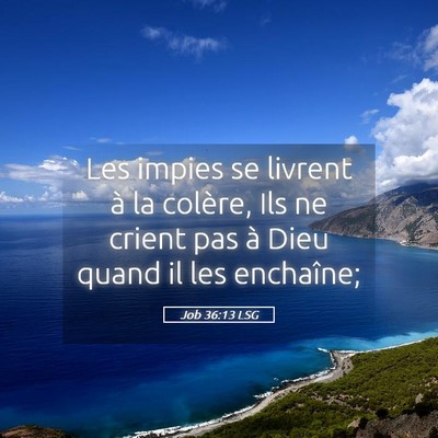 Picture 05 - Job 36:13 LSG - Les impies se livrent à la colère, Ils ne - Bible Verse Picture