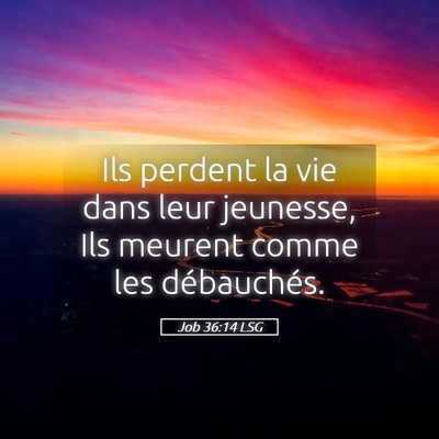 Picture 05 - Job 36:14 LSG - Ils perdent la vie dans leur jeunesse, Ils - Bible Verse Picture
