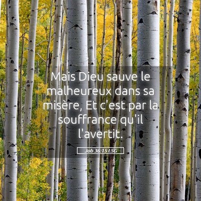 Picture 05 - Job 36:15 LSG - Mais Dieu sauve le malheureux dans sa misère, Et - Bible Verse Picture