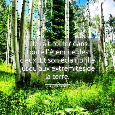 Picture 05 - Job 37:3 LSG - Il le fait rouler dans toute l'étendue des - Bible Verse Picture