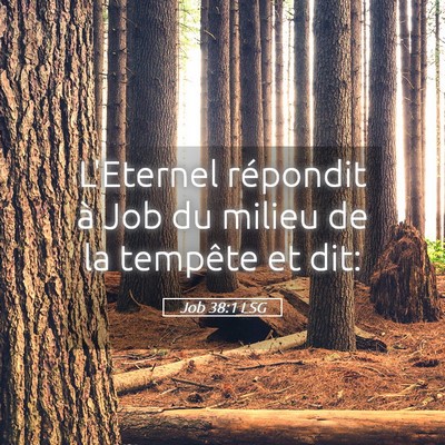 Picture 05 - Job 38:1 LSG - L'Eternel répondit à Job du milieu de la - Bible Verse Picture