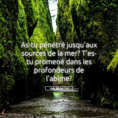 Picture 05 - Job 38:16 LSG - As-tu pénétré jusqu'aux sources de la mer? - Bible Verse Picture