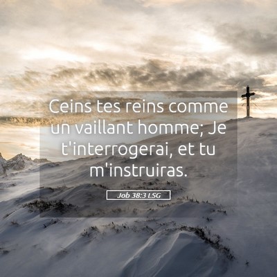 Picture 05 - Job 38:3 LSG - Ceins tes reins comme un vaillant homme; Je - Bible Verse Picture