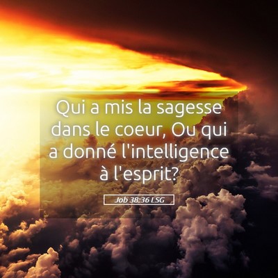 Picture 05 - Job 38:36 LSG - Qui a mis la sagesse dans le coeur, Ou qui a - Bible Verse Picture