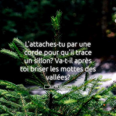 Picture 05 - Job 39:10 LSG - L'attaches-tu par une corde pour qu'il trace un - Bible Verse Picture
