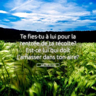 Picture 05 - Job 39:12 LSG - Te fies-tu à lui pour la rentrée de ta - Bible Verse Picture