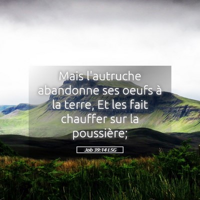 Picture 05 - Job 39:14 LSG - Mais l'autruche abandonne ses oeufs à la terre, - Bible Verse Picture