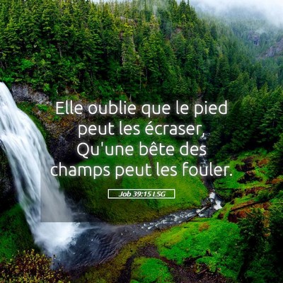 Picture 05 - Job 39:15 LSG - Elle oublie que le pied peut les écraser, Qu'une - Bible Verse Picture