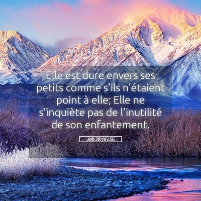 Picture 05 - Job 39:16 LSG - Elle est dure envers ses petits comme s'ils - Bible Verse Picture