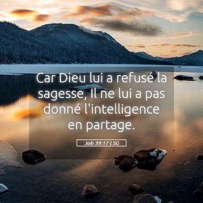 Picture 05 - Job 39:17 LSG - Car Dieu lui a refusé la sagesse, Il ne lui a - Bible Verse Picture