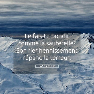 Picture 05 - Job 39:20 LSG - Le fais-tu bondir comme la sauterelle? Son fier - Bible Verse Picture