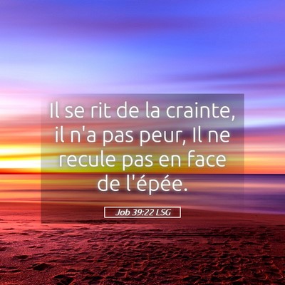 Picture 05 - Job 39:22 LSG - Il se rit de la crainte, il n'a pas peur, Il ne - Bible Verse Picture