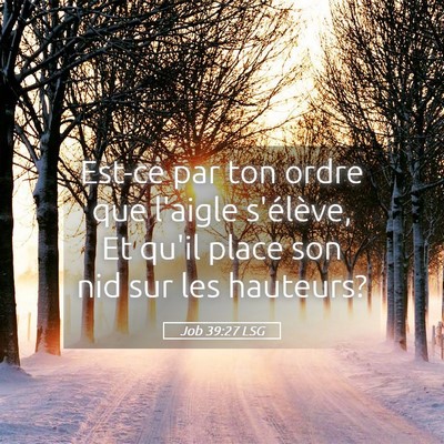 Picture 05 - Job 39:27 LSG - Est-ce par ton ordre que l'aigle s'élève, Et - Bible Verse Picture