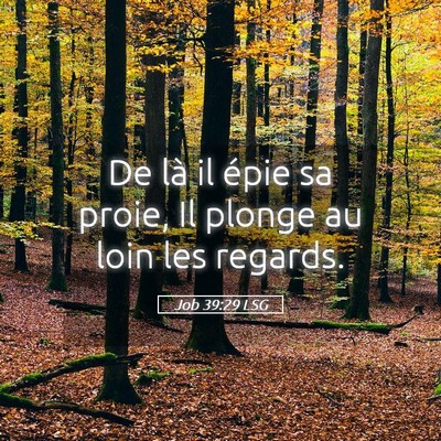 Picture 05 - Job 39:29 LSG - De là il épie sa proie, Il plonge au loin les - Bible Verse Picture