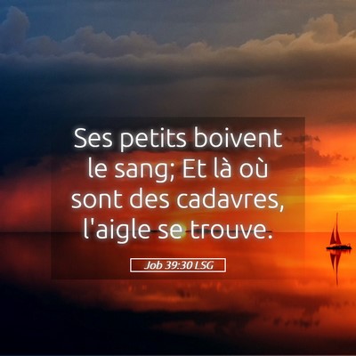 Picture 05 - Job 39:30 LSG - Ses petits boivent le sang; Et là où sont des - Bible Verse Picture
