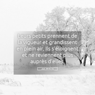 Picture 05 - Job 39:4 LSG - Leurs petits prennent de la vigueur et - Bible Verse Picture