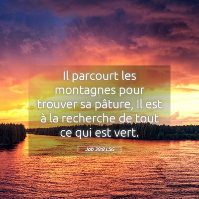 Picture 05 - Job 39:8 LSG - Il parcourt les montagnes pour trouver sa - Bible Verse Picture