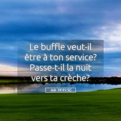 Picture 05 - Job 39:9 LSG - Le buffle veut-il être à ton service? - Bible Verse Picture