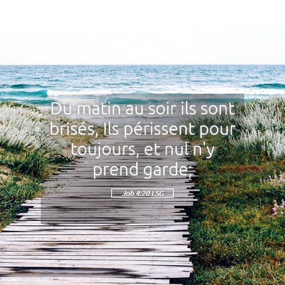 Picture 05 - Job 4:20 LSG - Du matin au soir ils sont brisés, Ils périssent - Bible Verse Picture