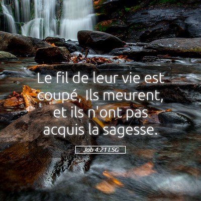 Picture 05 - Job 4:21 LSG - Le fil de leur vie est coupé, Ils meurent, et - Bible Verse Picture