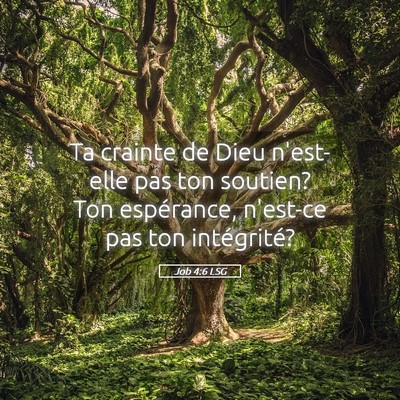 Picture 05 - Job 4:6 LSG - Ta crainte de Dieu n'est-elle pas ton soutien? - Bible Verse Picture