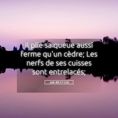 Picture 05 - Job 40:17 LSG - Il plie sa queue aussi ferme qu'un cèdre; Les - Bible Verse Picture