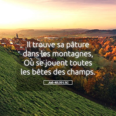 Picture 05 - Job 40:20 LSG - Il trouve sa pâture dans les montagnes, Où se - Bible Verse Picture