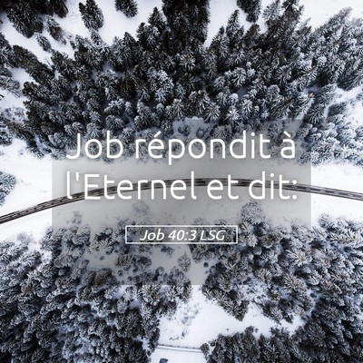 Picture 05 - Job 40:3 LSG - Job répondit à l'Eternel et - Bible Verse Picture