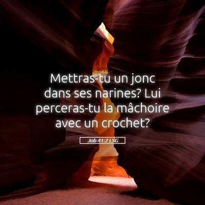 Picture 05 - Job 41:2 LSG - Mettras-tu un jonc dans ses narines? Lui - Bible Verse Picture